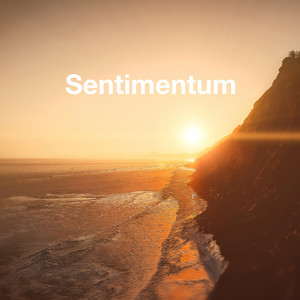 Sentimentum