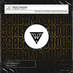 Scream & Shout (Extended Mix)