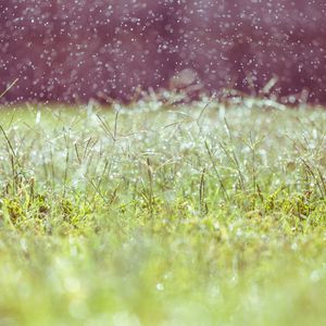 钢琴白噪音中的宁静梦乡