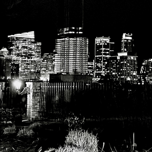 Stay The Night