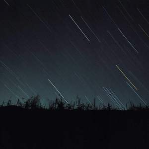 狼人disco（Cover 洛天依 / 言和）