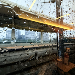 舍得（cover王唯旖)