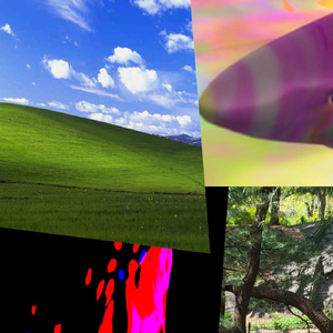 I Have a Poster of Michelle Obama Underneath My Car Seat (B-Side)