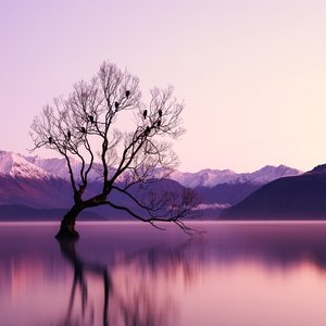 From Sorrow to Sorrow