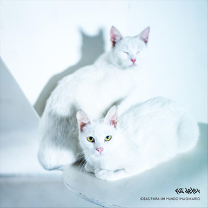 No Me Dejes Caer en la Cama