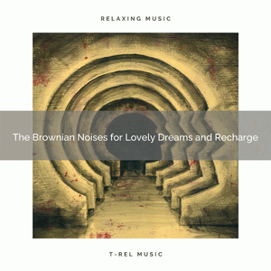 The Noises for Lovely Sleep and Life Changing