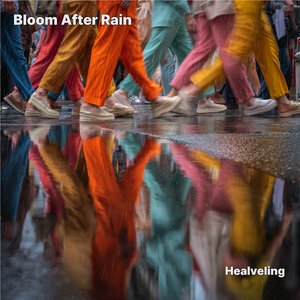 Bloom After Rain