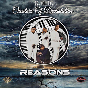 Reasons