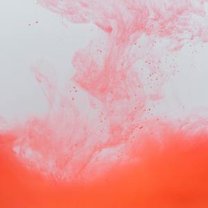 踏雪寻梅（Demo）