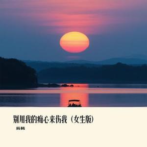 别用我的痴心来伤我 (女生版)