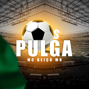 Os Pulga