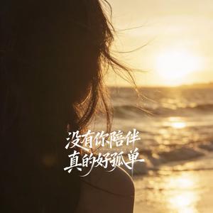 没有你陪伴真的好孤单（深情版）