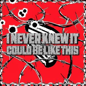 I NEVER KNEW IT COULD BE LIKE THIS