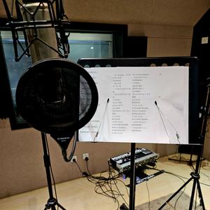 一荤一素(Cover:毛不易)