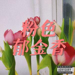 粉色郁金香（prod.by MORROW)