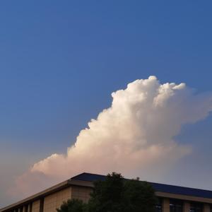 有关一个戛然而止的夏天