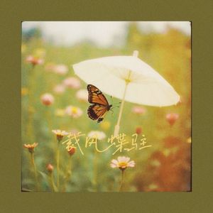 裁风蝶驻