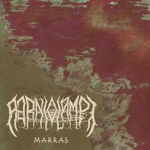 Marras
