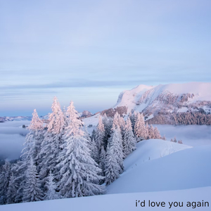 i’d love you again