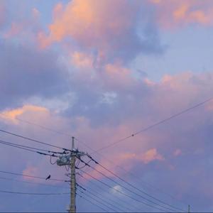 陪我的一小点时间