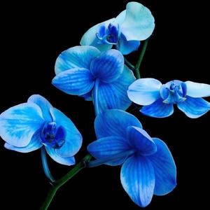 Throughout (feat. Bacuret)