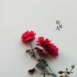 不曾后悔