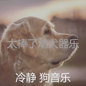 一尘不染小狗印象数