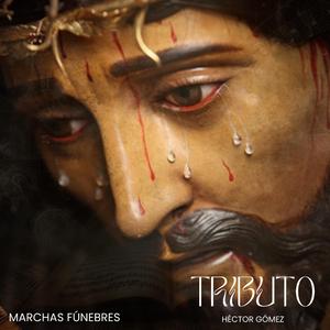 Fanfarrea Mercedaria