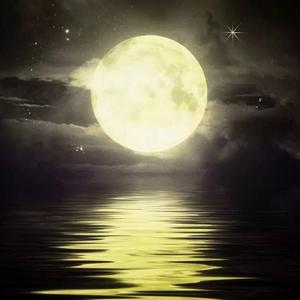 長亭的月光和你