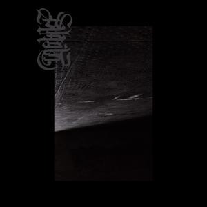 Lueur Verte, Jour Froid