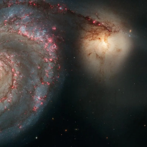 独步他乡的自由之旅