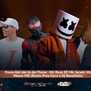 Posso até não te dar flores (feat. DJ Renatinho) (Versão Remix)