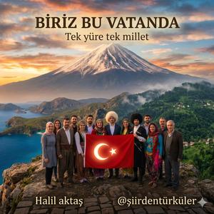 BİRİZ BU VATANDA