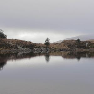 Tribal Animation (feat. Khalon Tacari, Remi Bumstead & Sapphire O'Neill)