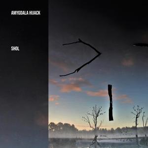 Requiem For a Chilli Plant