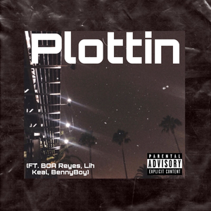 Plottin