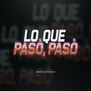 Lo Que Pasó Pasó (Remix)
