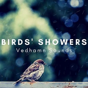 Farm Rain Shower, Birds Talking