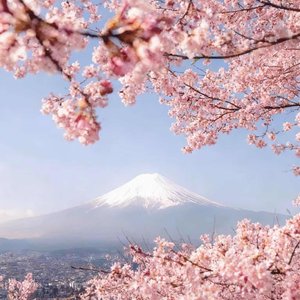 银河系写好的相遇剧情