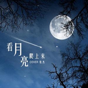 看月亮爬上来