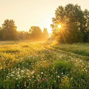 Kiedy braknie Ci sił