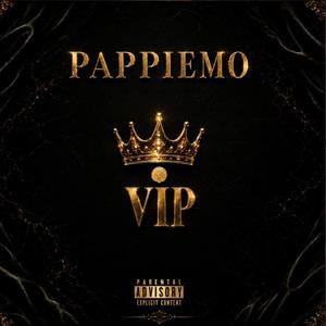 Vip (Radio Edit)