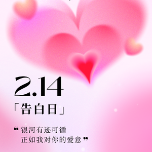 给老婆的保证书