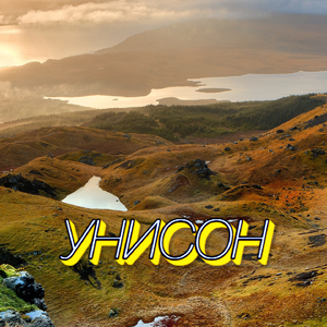 УНИСОН