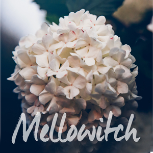 조그마한 깨달음