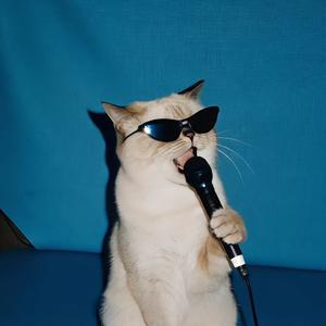 未完成的诗 伴奏