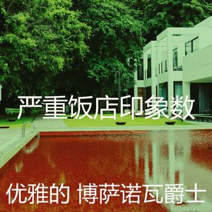 柔和的鸡尾酒吧时刻