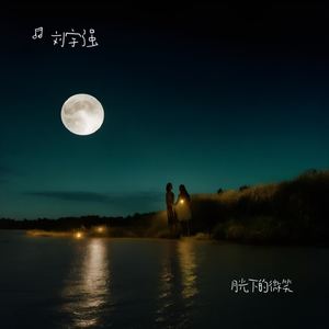 月光下的微笑