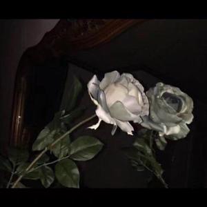 晚安（完整版）