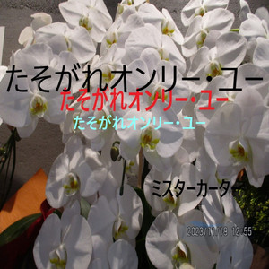 たそがれオンリーユー